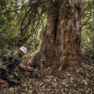 Les forêts sacrées du Benin - photoreportage de Gaël Turine pour Visa pour l'Image x Fondation Yves Rocher