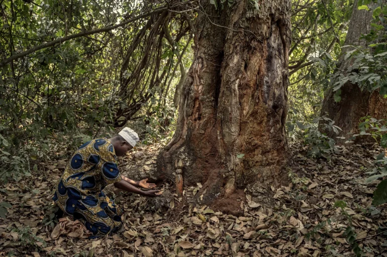 Les forêts sacrées du Benin - photoreportage de Gaël Turine pour Visa pour l'Image x Fondation Yves Rocher