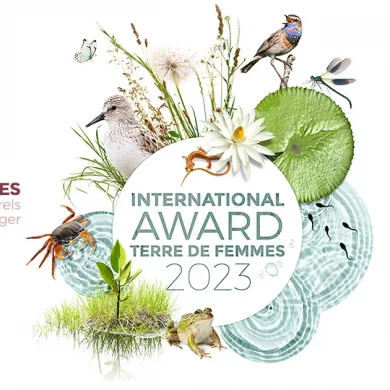 International Award 2023 les zones humides - wetlands
