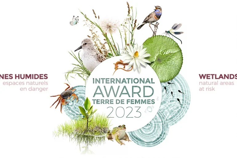 International Award 2023 les zones humides - wetlands