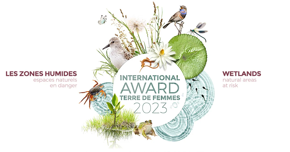 International Award 2023 les zones humides - wetlands