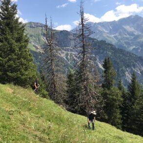 IMG 20200801 WA0038 opt