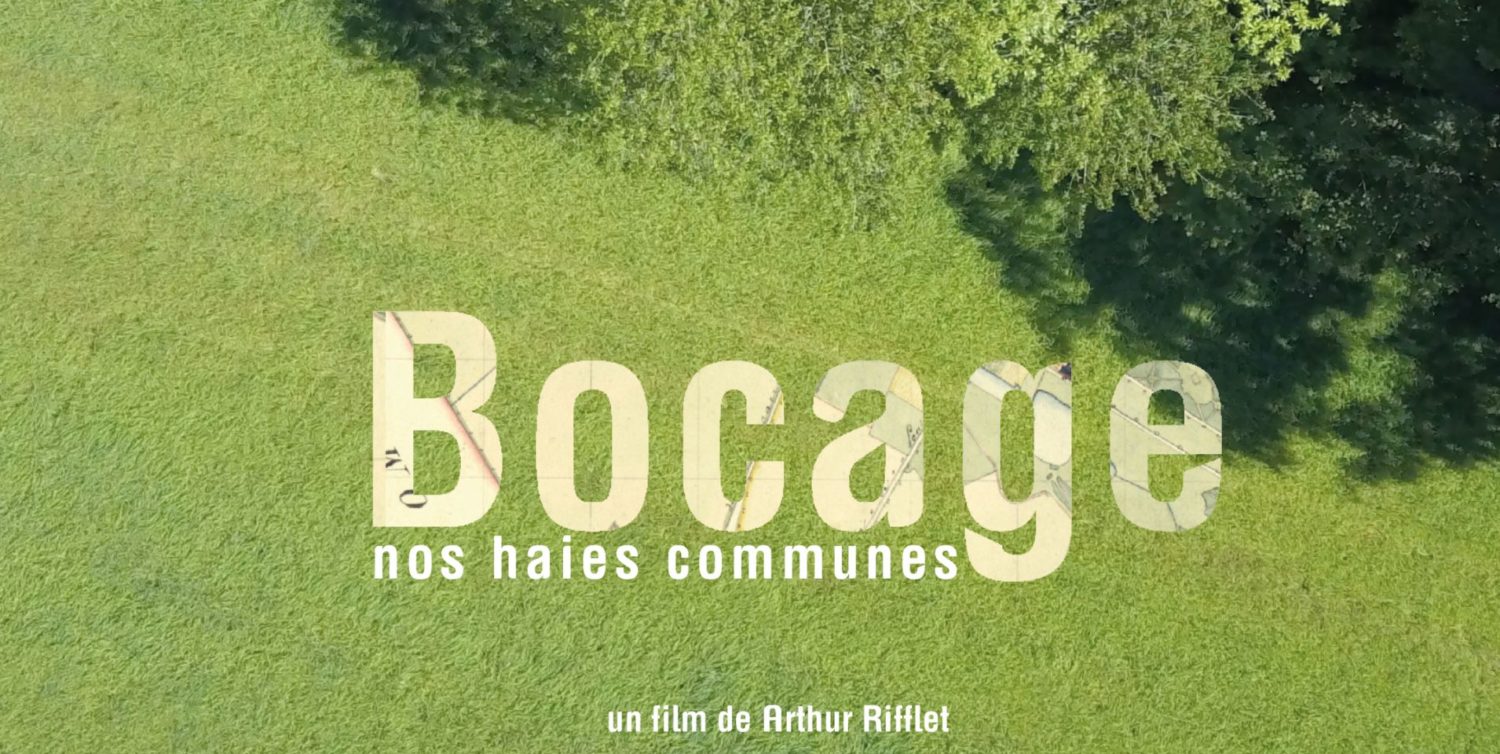 Projection ciné débat La Gacilly La Bergerie Bocage nos haies communes