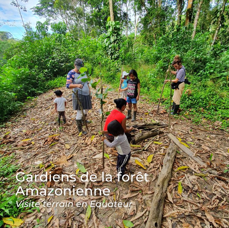 En Equateur, le peuple Sarayaku oeuvre pour la protection de la forêt Amazonienne - Ishpingo