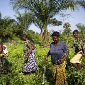 Jour19 76B3185 min (1) opt