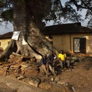 Jour22 76B9679 ok opt