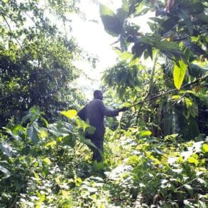 Jour23 76B0681 min opt (1)