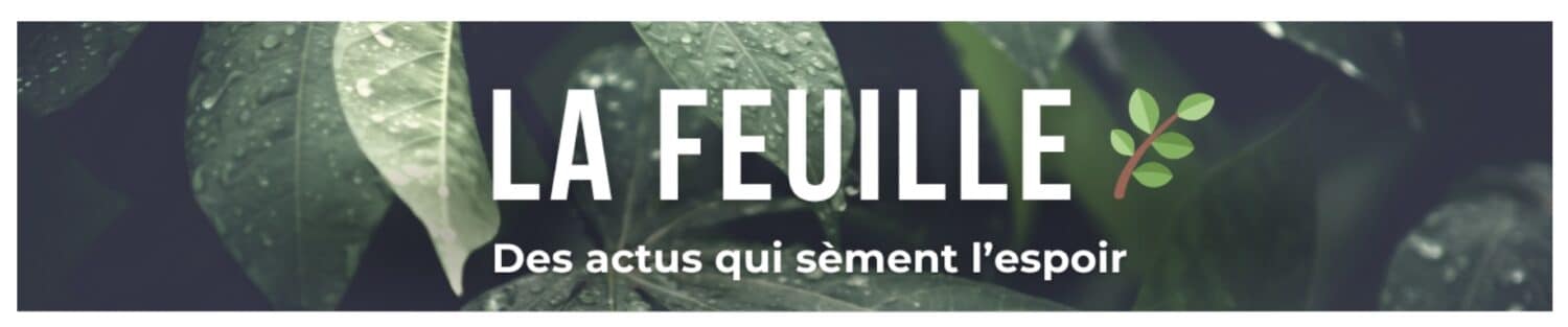 La feuille - l'actus qui sèment l'espoir