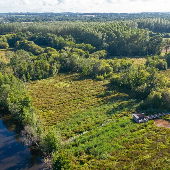 Observatoire de la biodiversité de La Gacilly, zone humide préservée et visitable