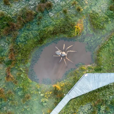 Biodiversité définition rôle et menace - Emmanuel Berthier Observatoire