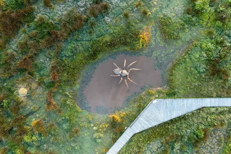 Biodiversité définition rôle et menace - Emmanuel Berthier Observatoire