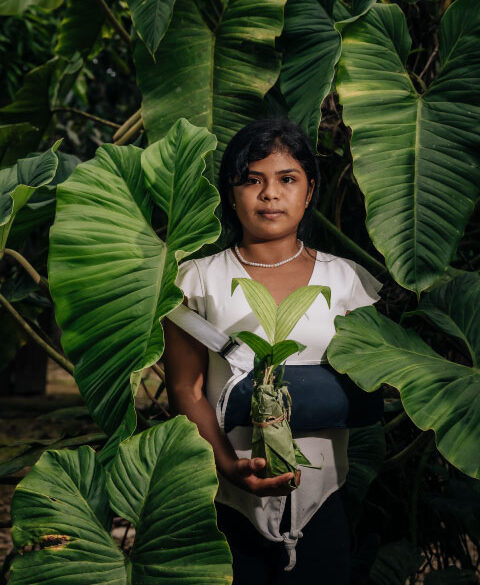 Portrait en plan moyen d'une jeune fille portant une chemise blanche et un collier de perles blanches, debout devant un mur de grandes feuilles d'oreilles d'éléphant. Elle tient délicatement un jeune plant dans ses mains, enveloppé dans une feuille.