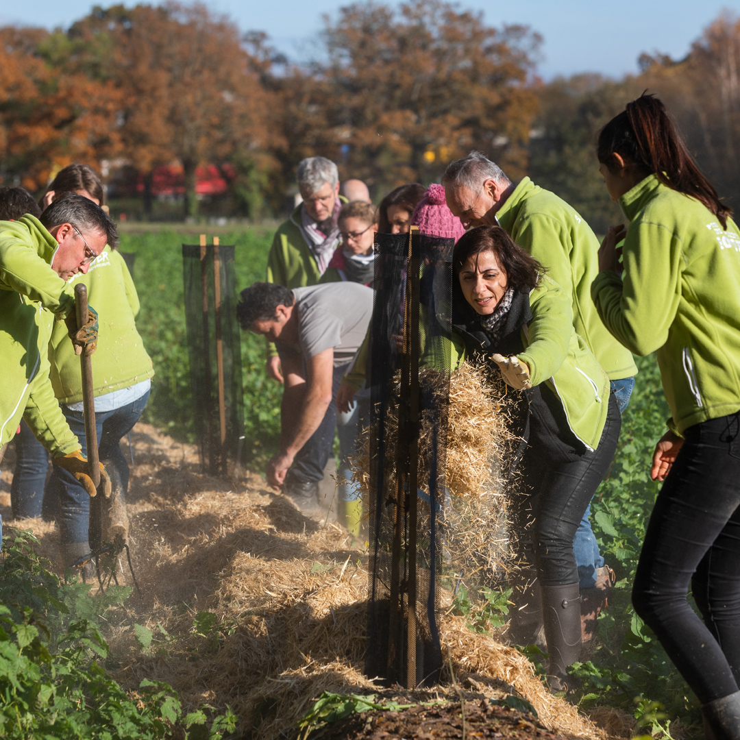 Merci aux plus de 2000 planteuses et planteurs