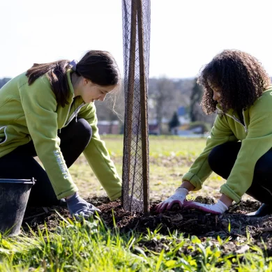 young women planting trees and hedgerow in La Gacilly