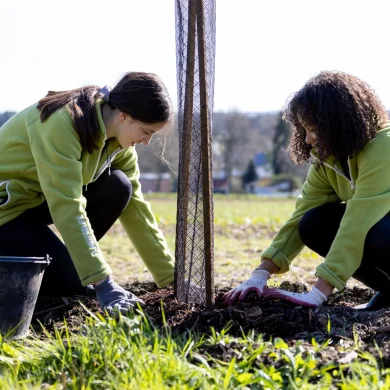 jeunes femmes planteuses de haies à La Gacilly