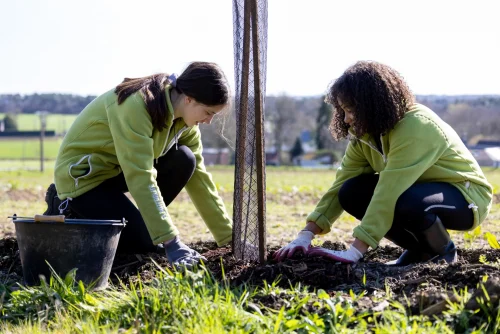 young women planting trees and hedgerow in La Gacilly