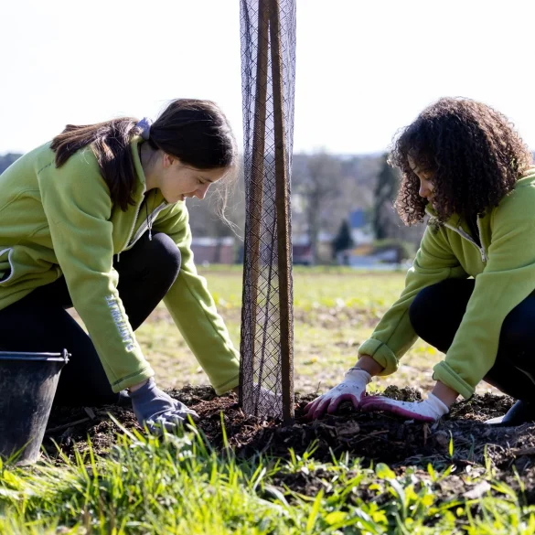 young women planting trees and hedgerow in La Gacilly