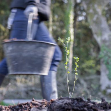 La Gacilly tree planting workshop by the Yves Rocher Foundation hands in the earth