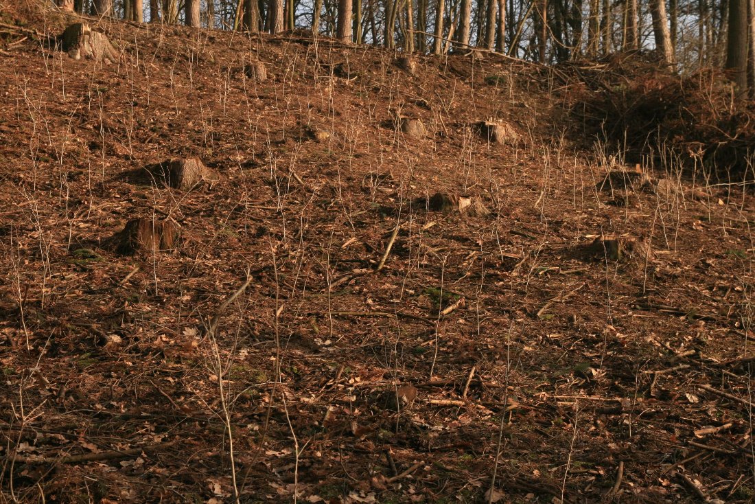 République Tchèque min opt (1)