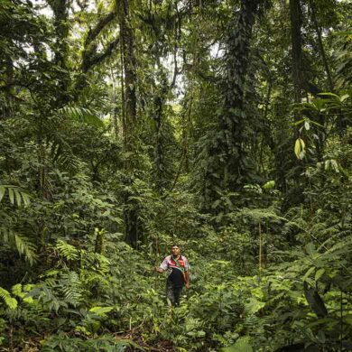 Plantation d’arbres dans le cadre du programme PlantForLife pour soutenir la reforestation