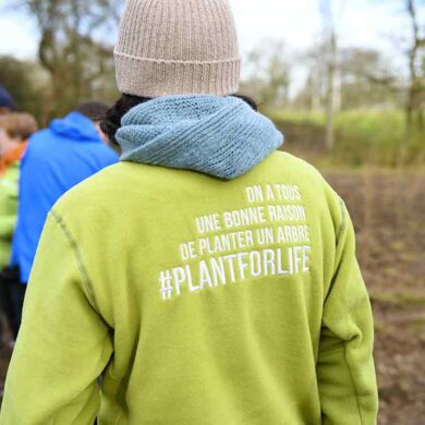 Programme de plantation d’arbres pour la préservation des écosystèmes et la biodiversité