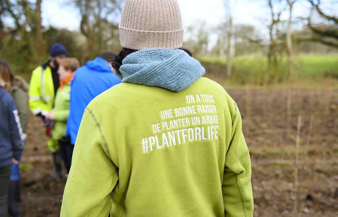Programme de plantation d’arbres pour la préservation des écosystèmes et la biodiversité