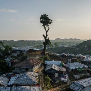 The Wretched and the Earth 19 opt