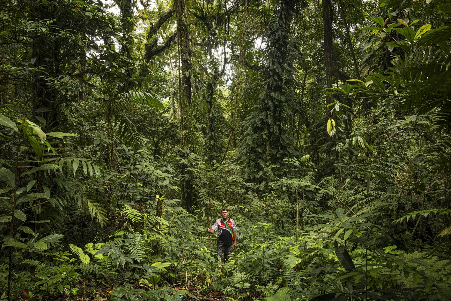 Homme dans la forêt - Ulla Lohmann pour la Fondation Yves Rocher - Mission photographique Au nom de la biodiversité en Papouasie Nouvelle Guinée