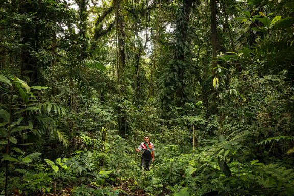 Ulla Lohmann Biodiversite 1 opt