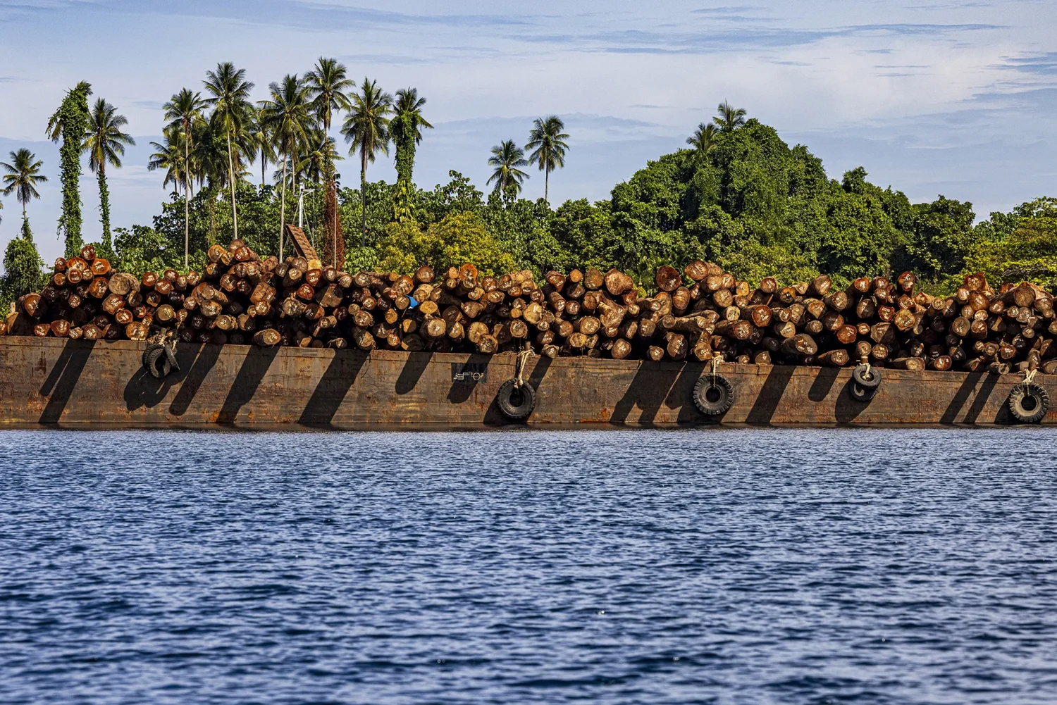 Déforestation pour l'huile de palme - Ulla Lohmann pour la Fondation Yves Rocher - Mission photographique Au nom de la biodiversité en Papouasie Nouvelle Guinée