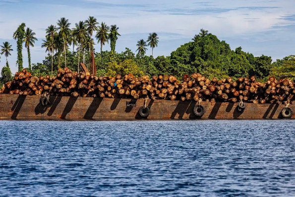 Ulla Lohmann Impact humain 2 opt