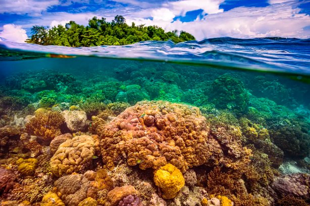 Ulla Lohmann Impact humain 3 opt