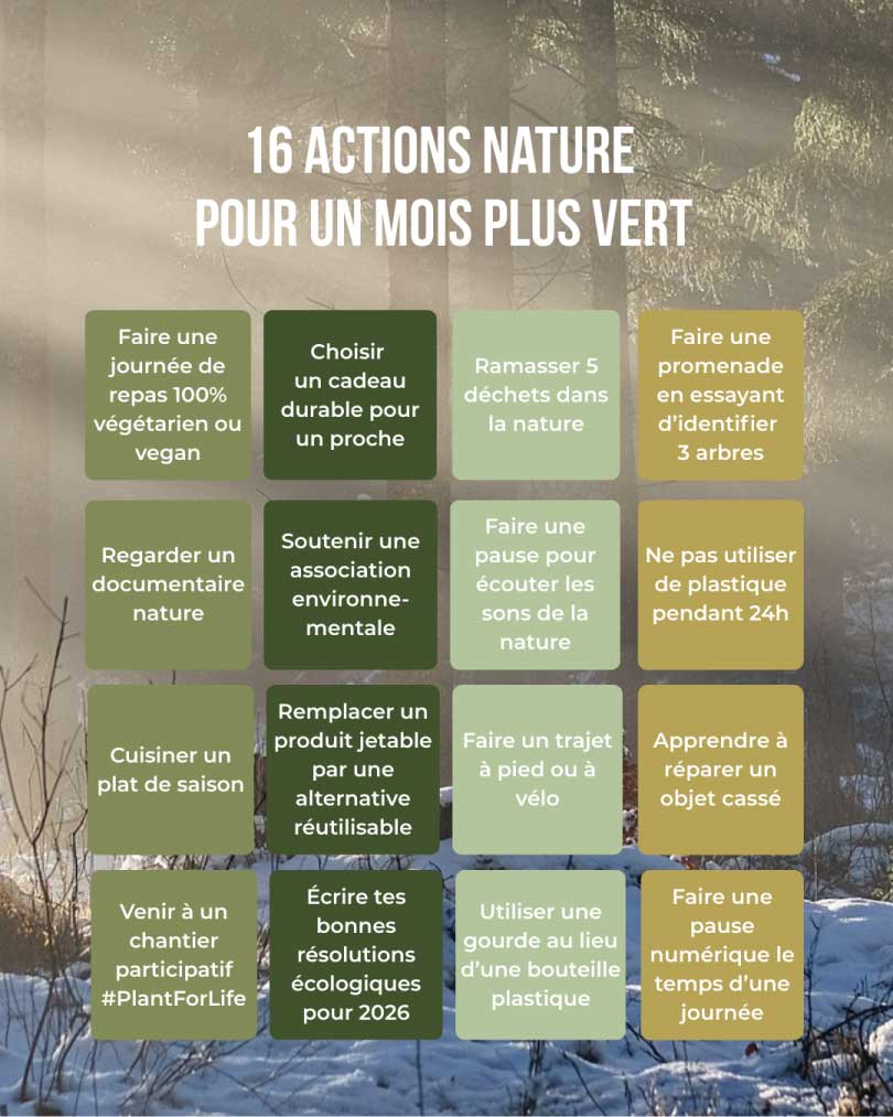 Liste des 16 actions nature pour un mois plus vert