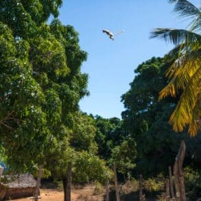 antrema reserve bioculturelle protégée opt