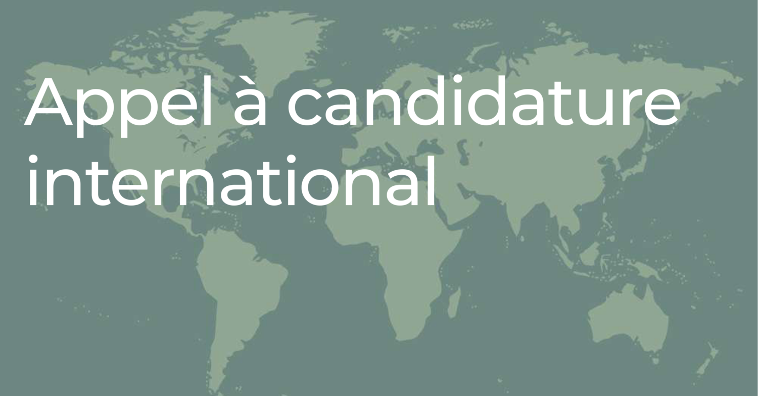 appel candidature international