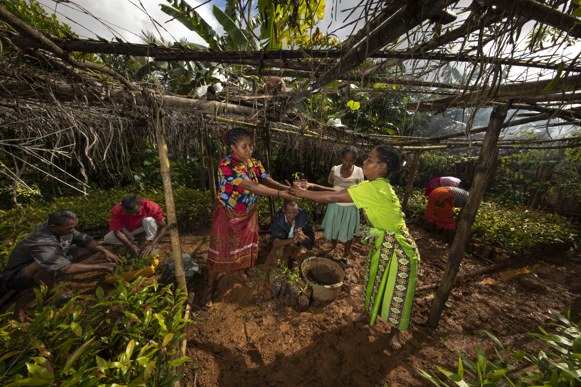 Créée en 2010, l’association RAM (Reboiser à Madagascar) soutenue par la Fondation Yves Rocher, travaille sur le terrain au plus près des communautés de Analanjirofo pour reforester cette région.