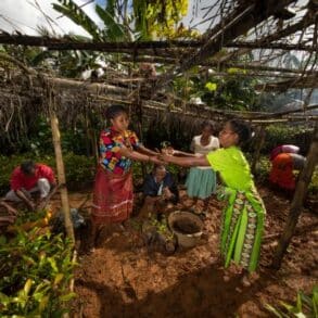 association RAM soutenue par la fondation yves rocher travaille sur le terrain pour reforester opt