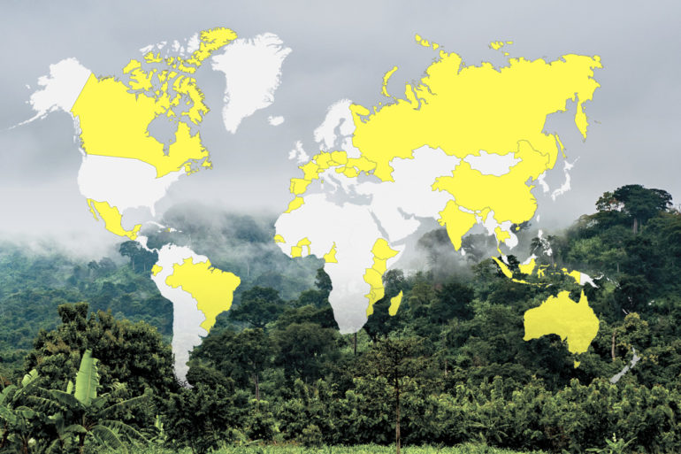 100-millions-d’arbres-plantés-carte-des-pays-d’action
