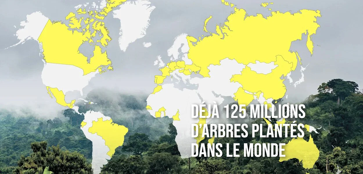 125 millions d'arbres plantés dans le monde - PlantForLife - Fondation Yves Rocher