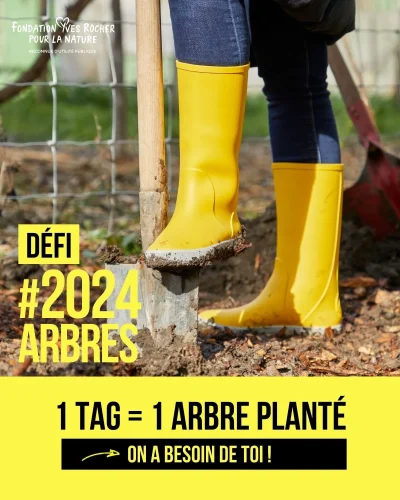 post instagram défi #2024arbres Fondation Yves Rocher