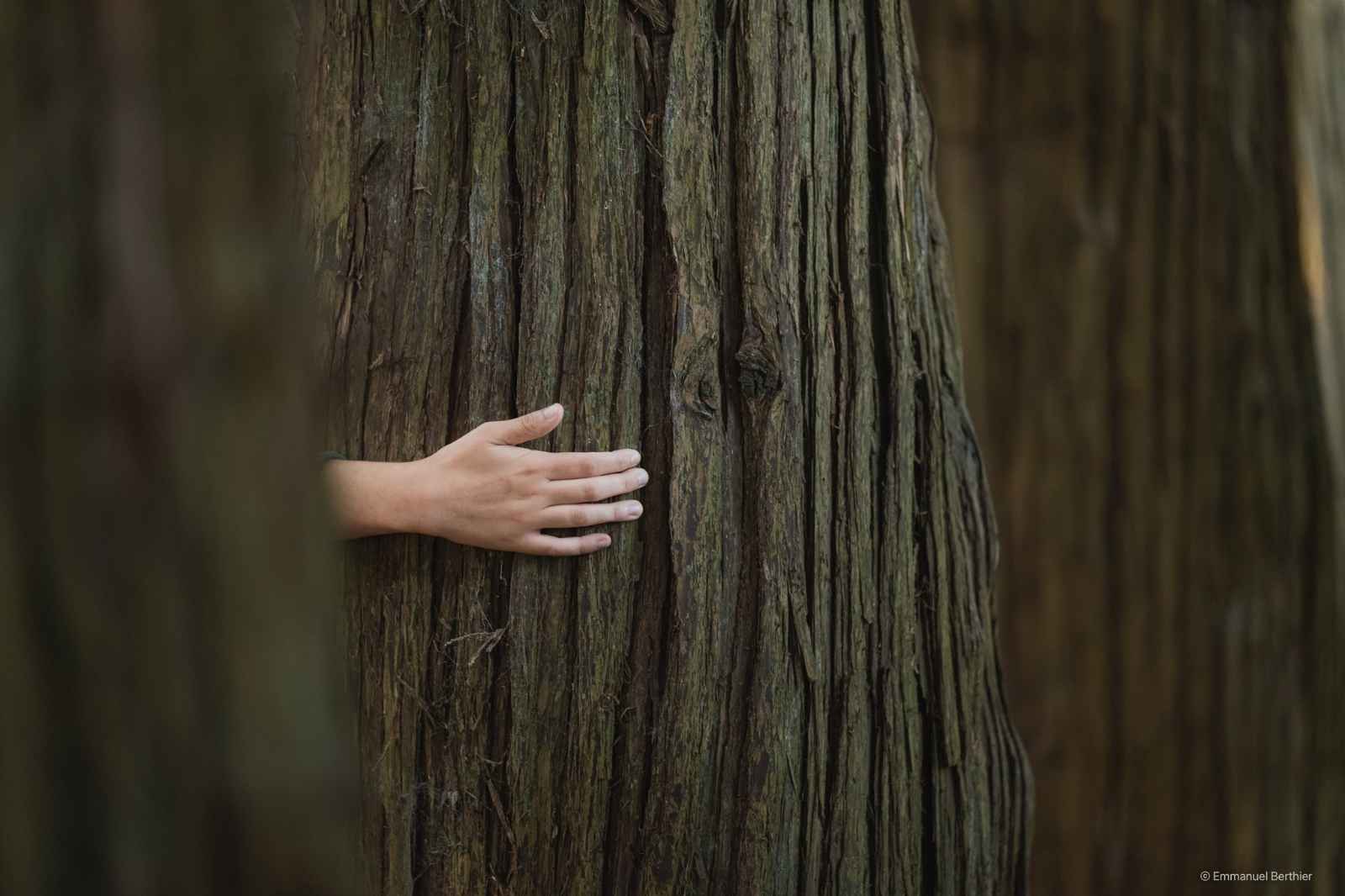 developpement durable