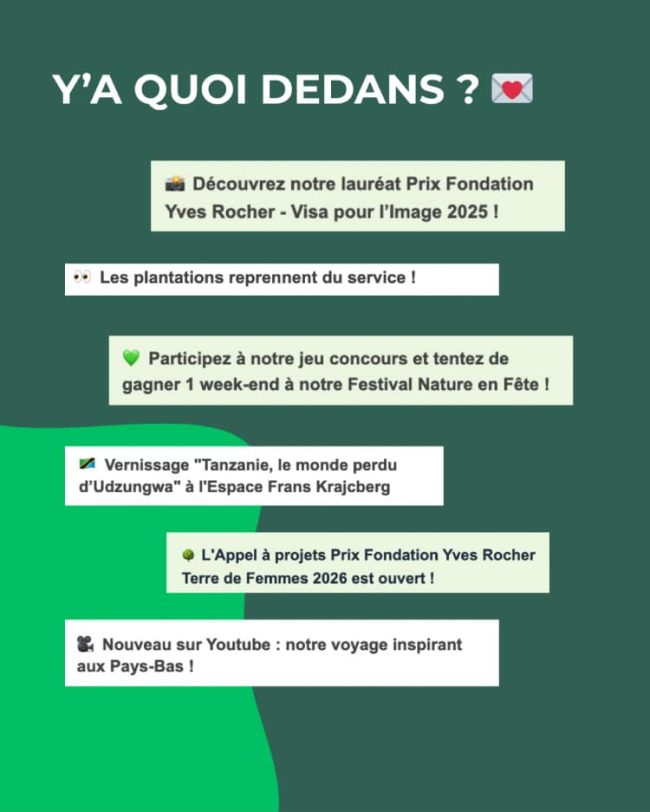 Contenu de la newsletter de la Fondation Yves Rocher : annonces de projets, concours, vidéos et événements autour de la nature et de l’engagement.