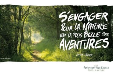 format ppt fr FYR 1500x844 opt