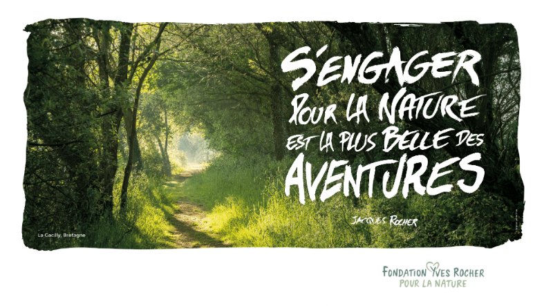 format ppt fr FYR opt