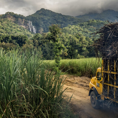 frederic noy missions photographique