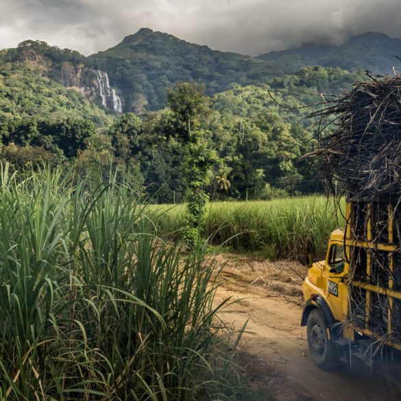 frederic noy missions photographique