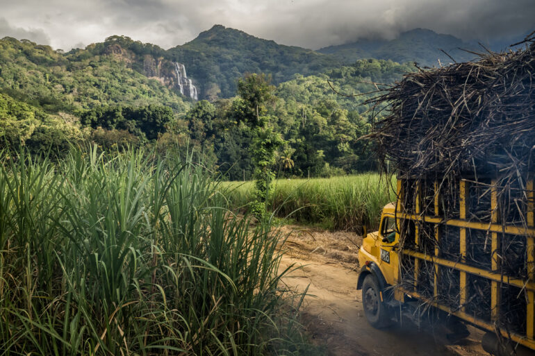 frederic noy missions photographique