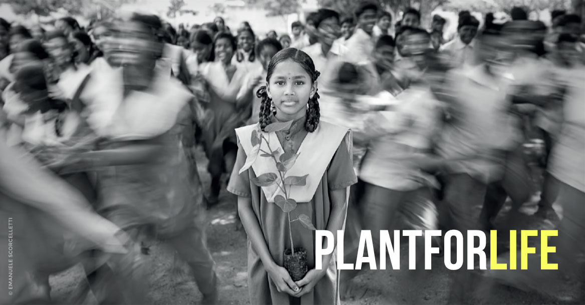 PlantForLife - Fondation Yves Rocher - English