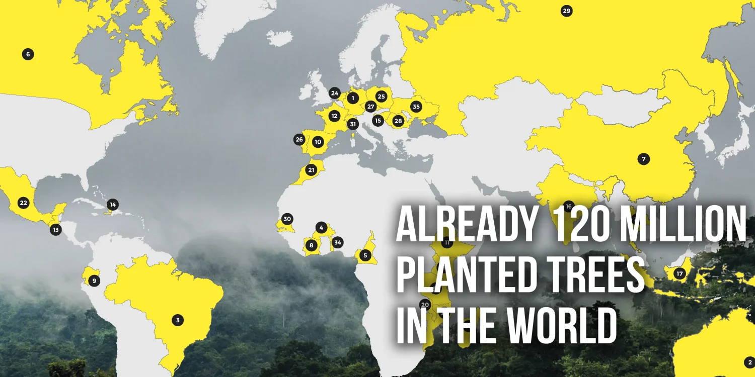 Already 120 million planted trees in the world