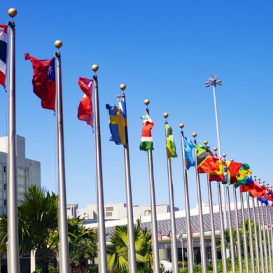 Earth International Meeting flags